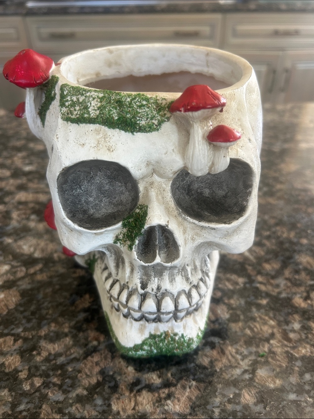 ASHLAND 6.5 "RESIN MUSHROOM DKULL CONTAINER NWT